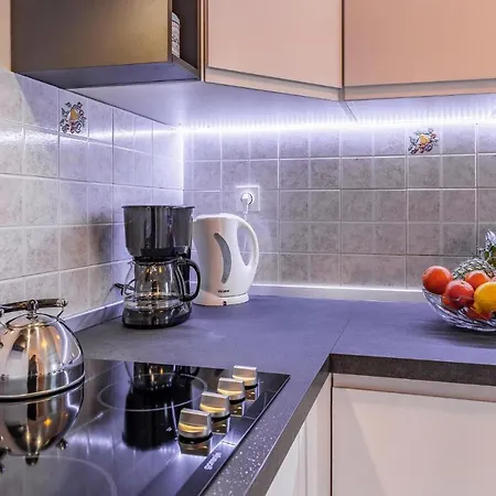 Cozy In With Kitchen Apartment